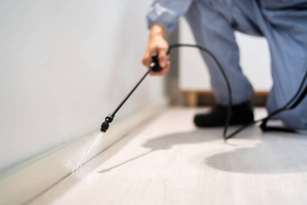 Licensed Cockroach Control service in La Riviera, CA - Nex Pest Control