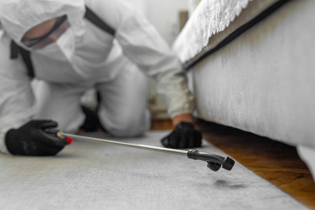 Professional Cockroach Control technician working in La Riviera, CA