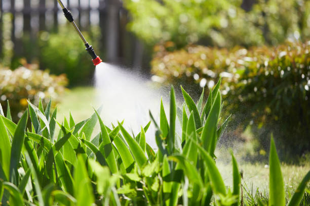 24/7 Emergency Cockroach Control experts in La Riviera, CA
