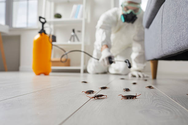 Affordable Cockroach Control solutions in La Riviera, CA